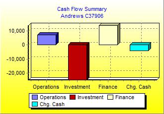 Cash Flow Summary Chart