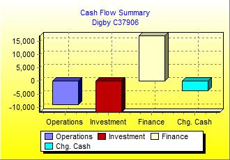 Cash Flow Summary Chart